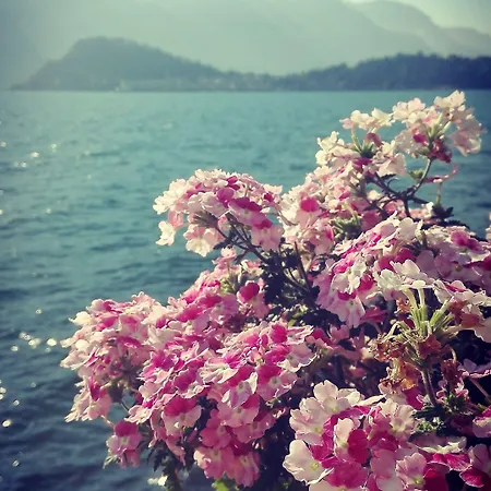 호텔 Della Marianna Cadenabbia