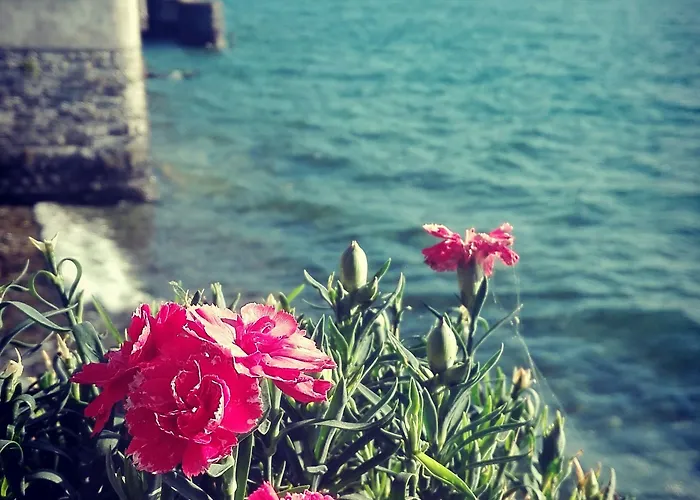 Della Marianna Hotel 3*