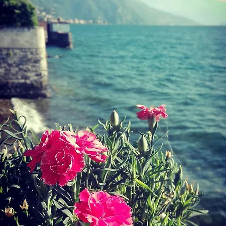 Della Marianna Hotell 3*