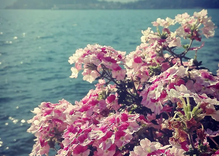 Ξενοδοχείο Della Marianna Cadenabbia